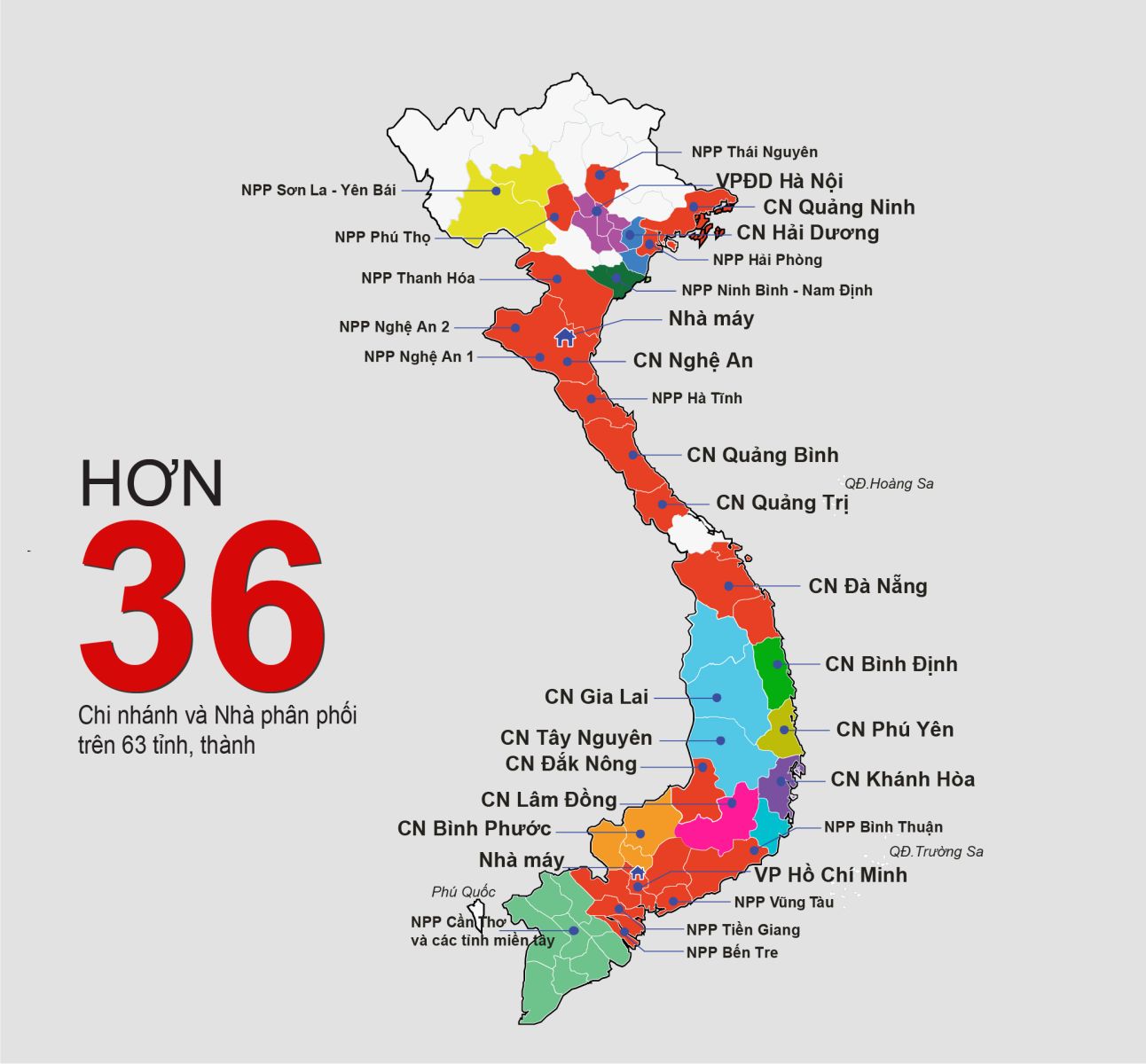 Hệ thống chi nhánh thép gia long